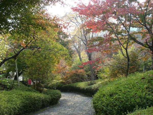 天龍寺-庭園4.JPG