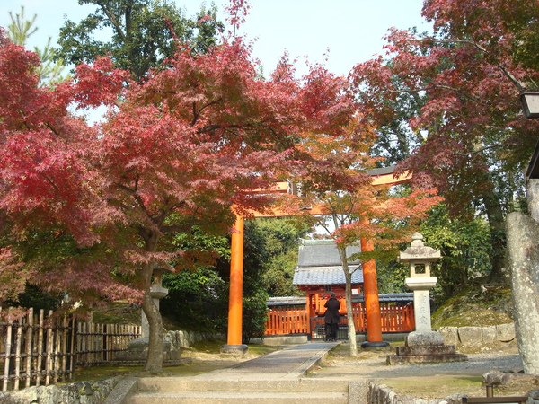 嵐山-天龍寺7.JPG