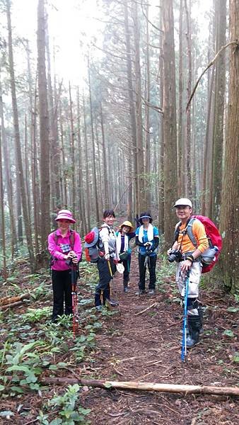 二訪高島田山 – 順探小錦屏溫泉