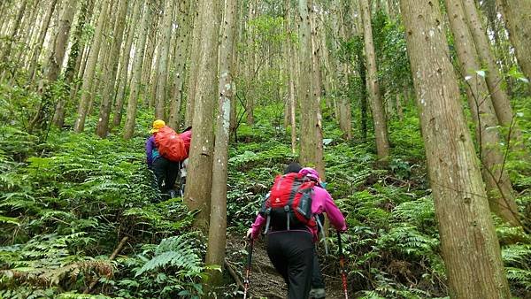 二訪高島田山 – 順探小錦屏溫泉