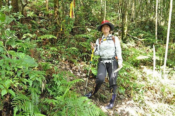 二訪高島田山 – 順探小錦屏溫泉