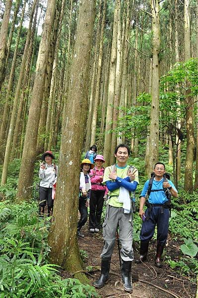 二訪高島田山 – 順探小錦屏溫泉