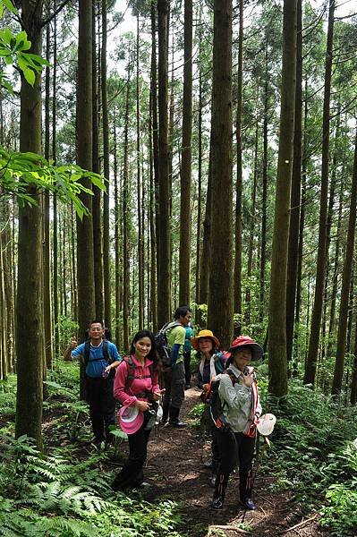 二訪高島田山 – 順探小錦屏溫泉