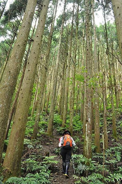 二訪高島田山 – 順探小錦屏溫泉