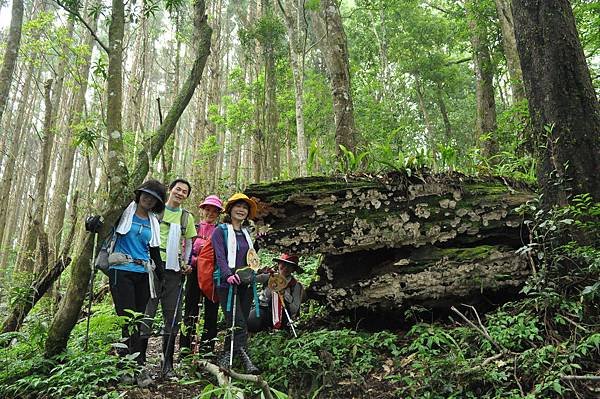 二訪高島田山 – 順探小錦屏溫泉