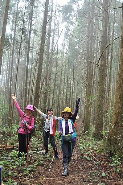 二訪高島田山 – 順探小錦屏溫泉