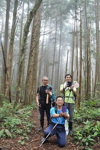 二訪高島田山 – 順探小錦屏溫泉