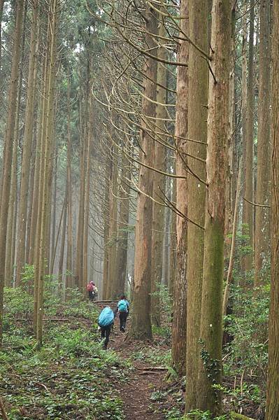 二訪高島田山 – 順探小錦屏溫泉