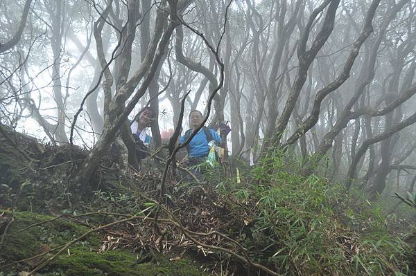 二訪高島田山 – 順探小錦屏溫泉