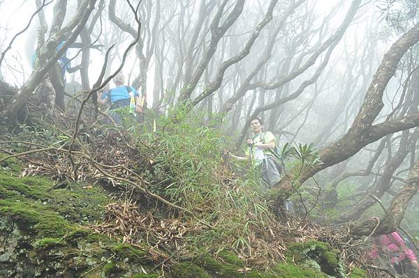 二訪高島田山 – 順探小錦屏溫泉