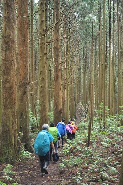 二訪高島田山 – 順探小錦屏溫泉