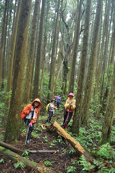 二訪高島田山 – 順探小錦屏溫泉