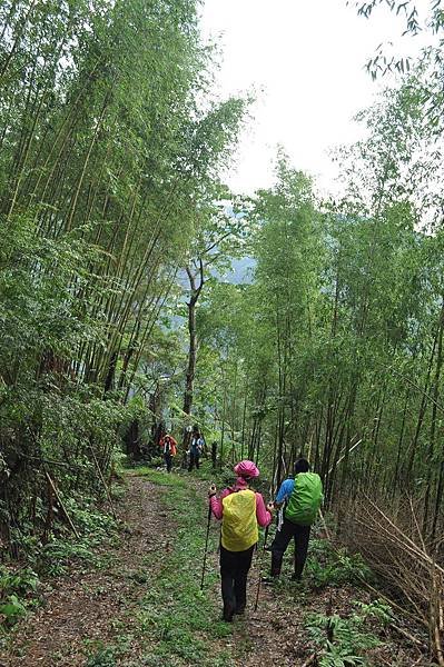 二訪高島田山 – 順探小錦屏溫泉