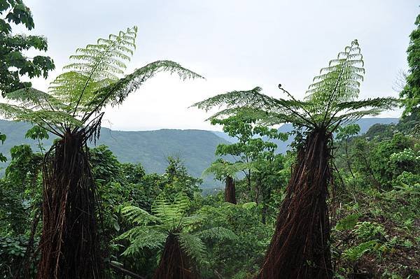 二訪高島田山 – 順探小錦屏溫泉