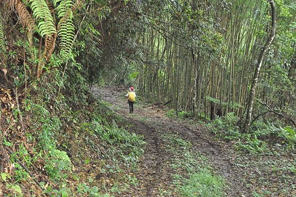 二訪高島田山 – 順探小錦屏溫泉