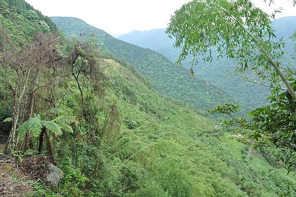 二訪高島田山 – 順探小錦屏溫泉