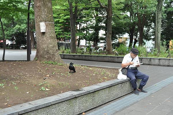 2018日本自由行 - Day 5: 7/12 上野公園遊 