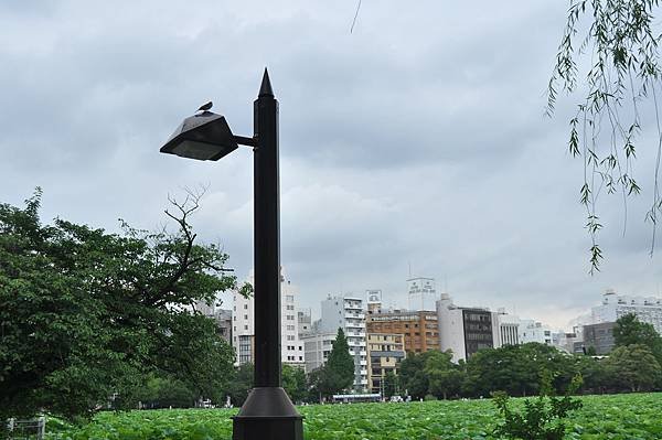 2018日本自由行 - Day 5: 7/12 上野公園遊 