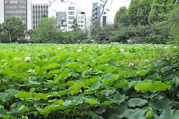 2018日本自由行 - Day 5: 7/12 上野公園遊 