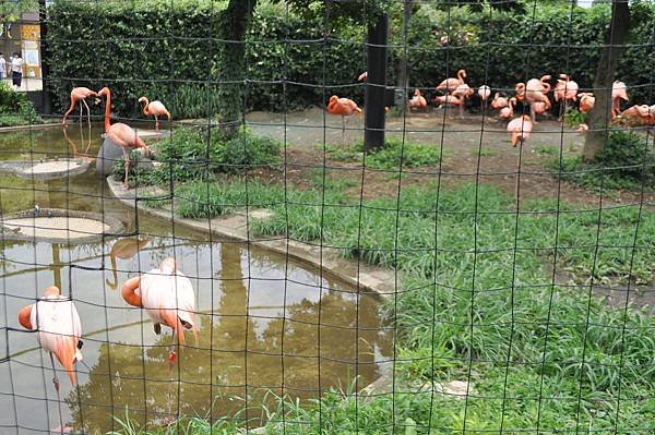 2018日本自由行 - Day 5: 7/12 上野公園遊 