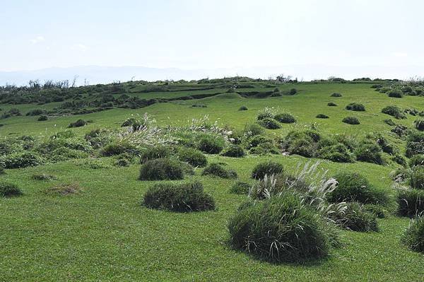 DSC_0095.JPG