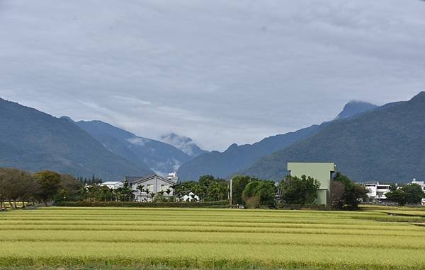 AKI_6156_1.jpg