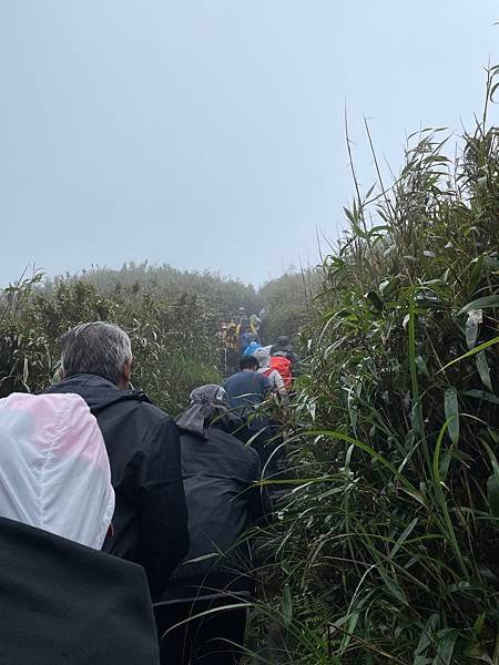 台北大縱走第三段 - 小油坑至風櫃口