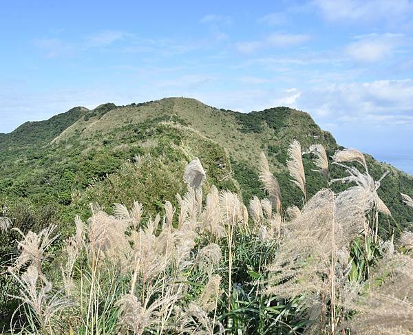 雪山尾稜北段 - 茫海山稜藍色太平洋