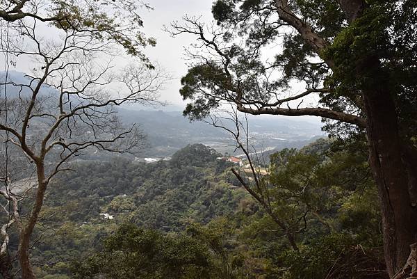 浪漫台3線樟之細路: 首訪獅山古道 - 夜抵南庄老街