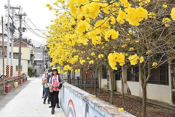 浪漫台3線樟之細路: 首訪獅山古道 - 夜抵南庄老街