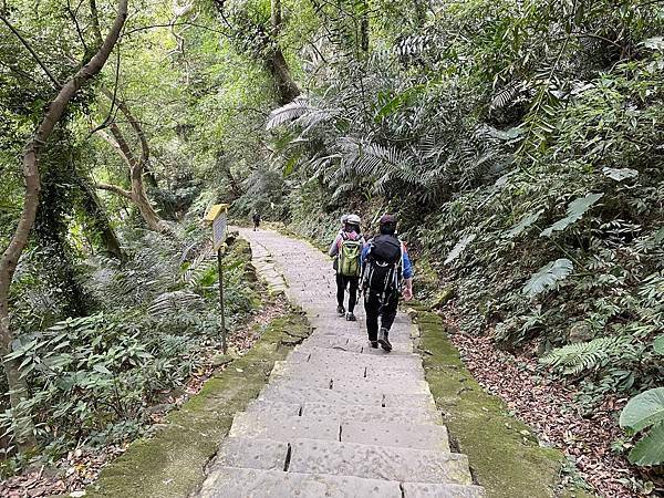 浪漫台3線樟之細路: 首訪獅山古道 - 夜抵南庄老街