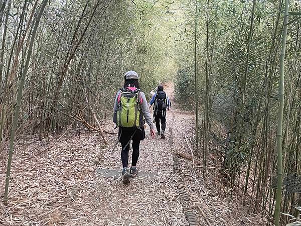 浪漫台3線樟之細路: 首訪獅山古道 - 夜抵南庄老街