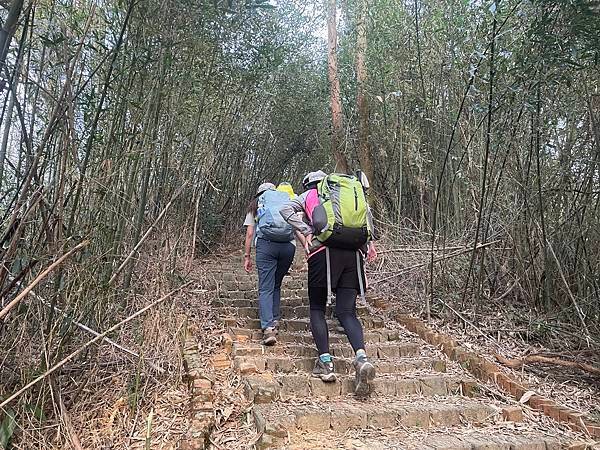 浪漫台3線樟之細路: 首訪獅山古道 - 夜抵南庄老街