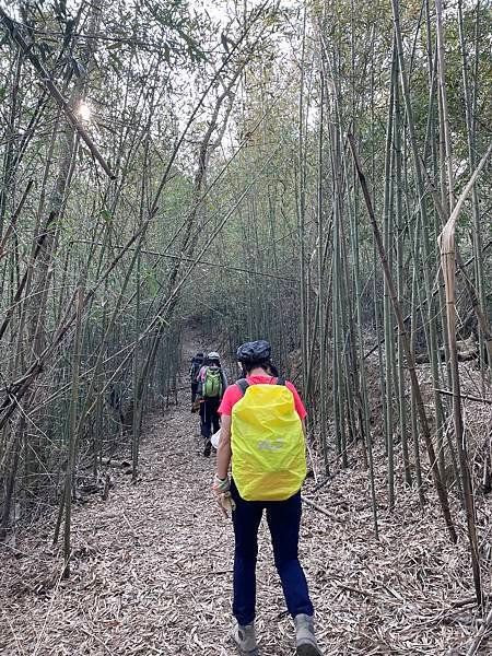 浪漫台3線樟之細路: 走過三灣大河底 - 穿越獅潭隘勇線