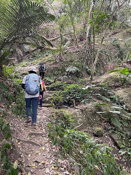 浪漫台3線樟之細路: 走過三灣大河底 - 穿越獅潭隘勇線