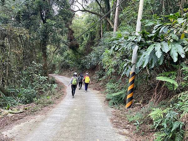 浪漫台3線樟之細路: 走過三灣大河底 - 穿越獅潭隘勇線