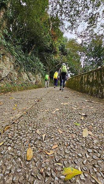 浪漫台3線樟之細路: 首訪獅山古道 - 夜抵南庄老街