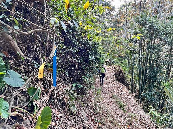 浪漫台3線樟之細路: 走過三灣大河底 - 穿越獅潭隘勇線