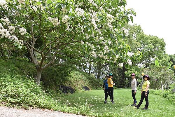 完走出關古道 - 勇登關刀山