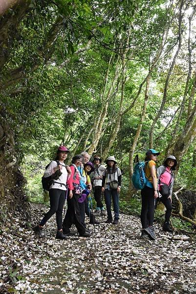 完走出關古道 - 勇登關刀山