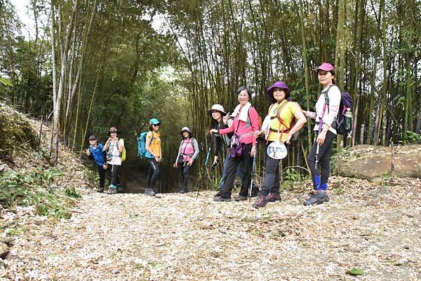 完走出關古道 - 勇登關刀山