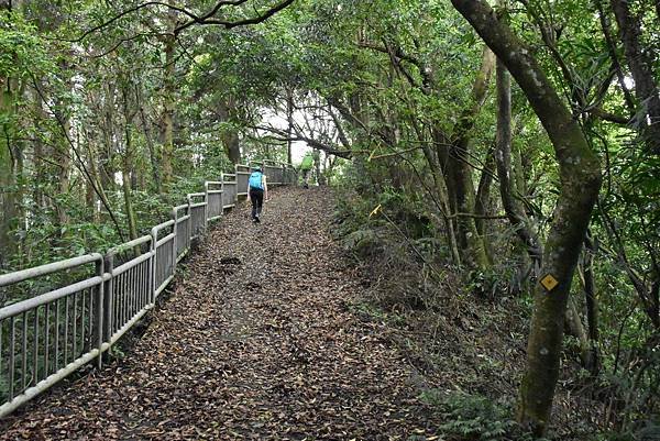 完走出關古道 - 勇登關刀山