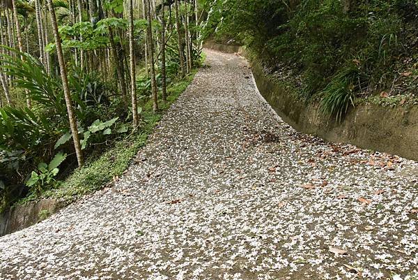 完走出關古道 - 勇登關刀山