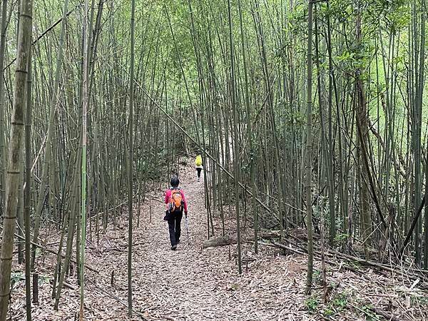 完走出關古道 - 勇登關刀山