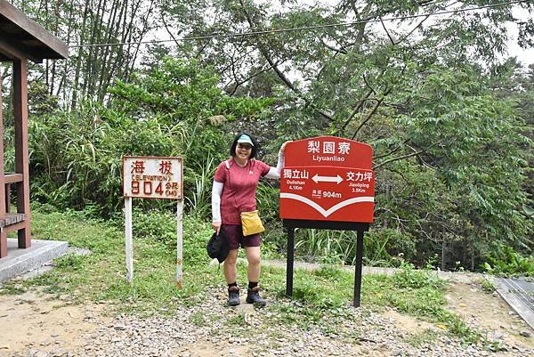 五月阿里山鐵路 - 初夏螢火蟲之旅: 梨園寮火車站 - 大風