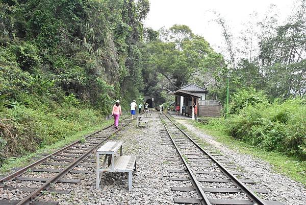 五月阿里山鐵路 - 初夏螢火蟲之旅: 梨園寮火車站 - 大風