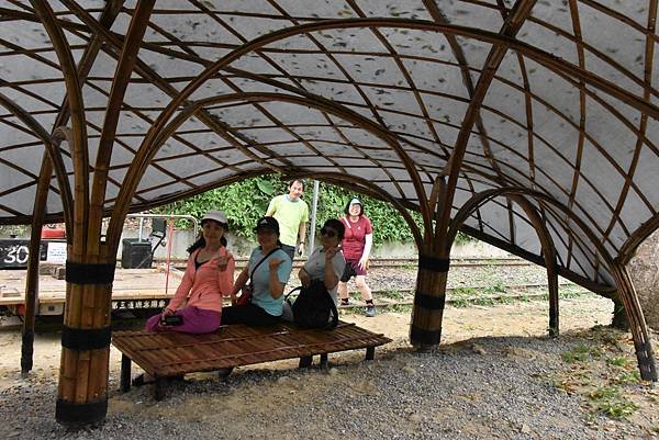 五月阿里山鐵路 - 初夏螢火蟲之旅: 梨園寮火車站 - 大風