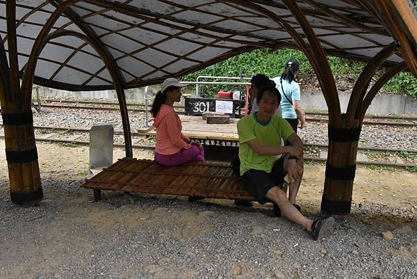 五月阿里山鐵路 - 初夏螢火蟲之旅: 梨園寮火車站 - 大風