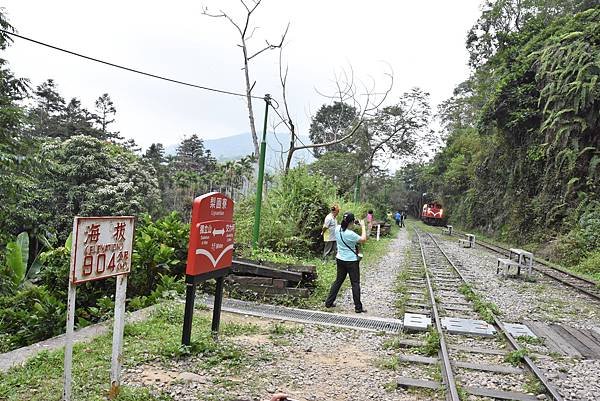 五月阿里山鐵路 - 初夏螢火蟲之旅: 梨園寮火車站 - 大風