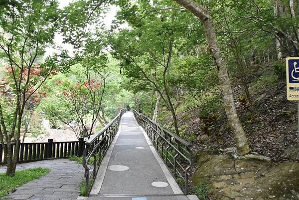 五月阿里山鐵路 - 初夏螢火蟲之旅: 梨園寮火車站 - 大風